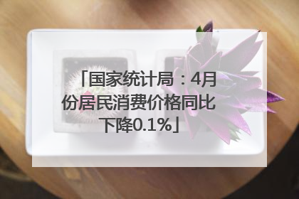 国家统计局：4月份居民消费价格同比下降0.1%