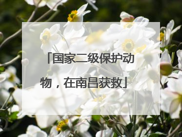 国家二级保护动物，在南昌获救