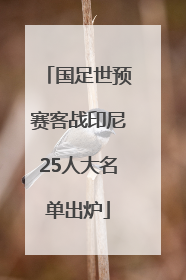 国足世预赛客战印尼25人大名单出炉