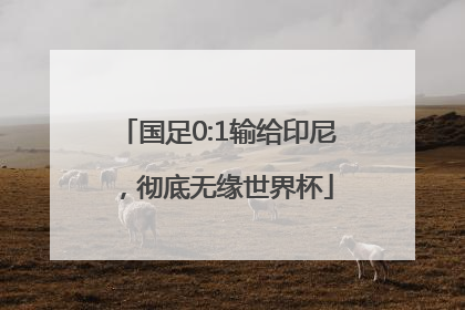国足0:1输给印尼，彻底无缘世界杯