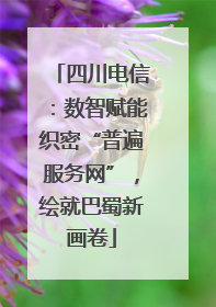 四川电信：数智赋能织密“普遍服务网”，绘就巴蜀新画卷