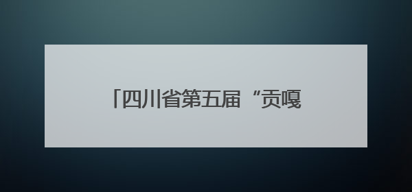 四川省第五届“贡嘎杯”男子排球（初中组）总决赛开赛 自贡这支队伍打进半决赛