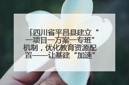 四川省平昌县建立“一项目一方案一专班”机制，优化教育资源配置——让基建“加速”，为成长“铺路”