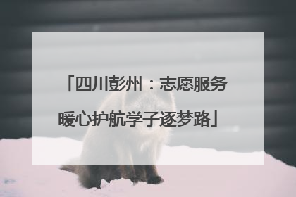 四川彭州：志愿服务暖心护航学子逐梦路
