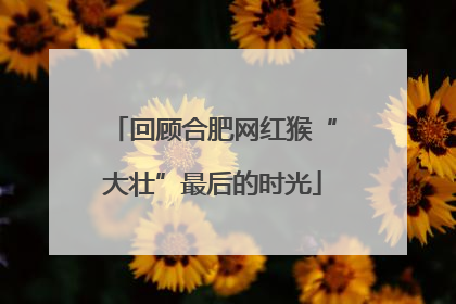 回顾合肥网红猴“大壮”最后的时光