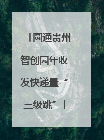 圆通贵州智创园年收发快递量“三级跳”