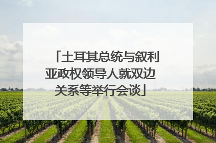 土耳其总统与叙利亚政权领导人就双边关系等举行会谈