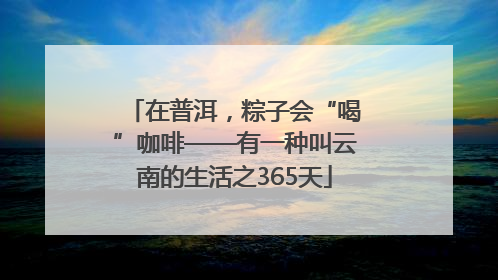 在普洱，粽子会“喝”咖啡——有一种叫云南的生活之365天