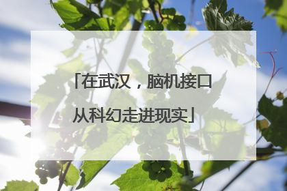在武汉，脑机接口从科幻走进现实