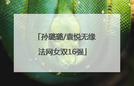 孙璐璐/袁悦无缘法网女双16强