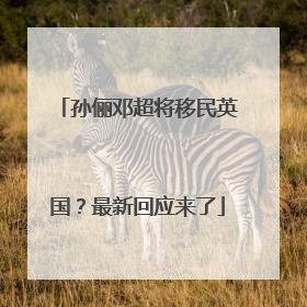 孙俪邓超将移民英国？最新回应来了