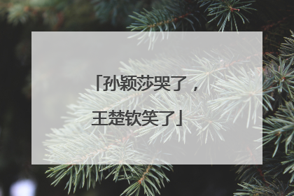 孙颖莎哭了，王楚钦笑了