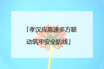 孝汉应高速多方联动筑牢安全防线