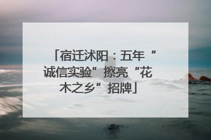宿迁沭阳：五年“诚信实验”擦亮“花木之乡”招牌