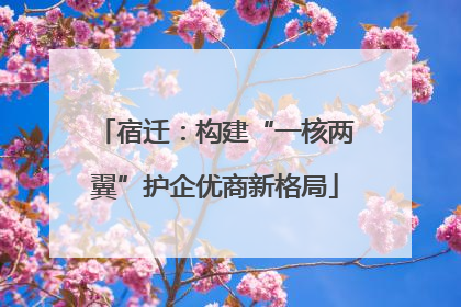 宿迁：构建“一核两翼”护企优商新格局