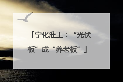 宁化淮土：“光伏板”成“养老板”