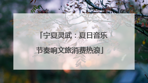 宁夏灵武：夏日音乐节奏响文旅消费热浪