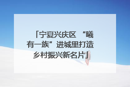 宁夏兴庆区 “曦有一族”进城里打造乡村振兴新名片