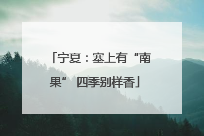 宁夏：塞上有“南果” 四季别样香