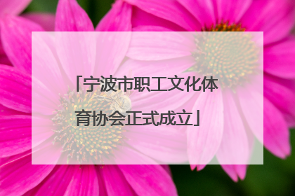 宁波市职工文化体育协会正式成立