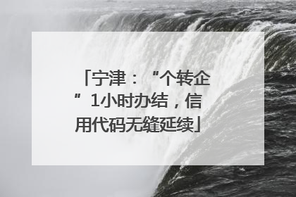 宁津：“个转企”1小时办结，信用代码无缝延续