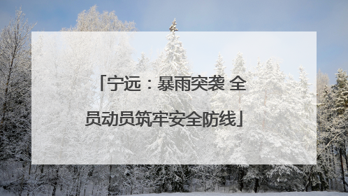 宁远：暴雨突袭 全员动员筑牢安全防线