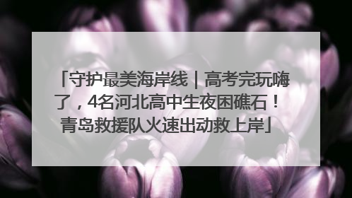 守护最美海岸线｜高考完玩嗨了，4名河北高中生夜困礁石！青岛救援队火速出动救上岸