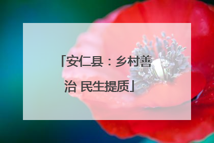 安仁县：乡村善治 民生提质