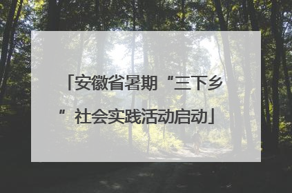 安徽省暑期“三下乡”社会实践活动启动