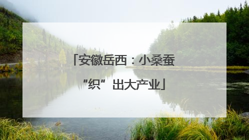安徽岳西：小桑蚕“织”出大产业
