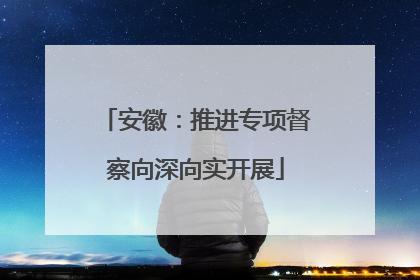 安徽：推进专项督察向深向实开展