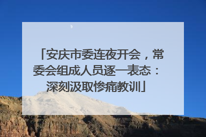 安庆市委连夜开会，常委会组成人员逐一表态：深刻汲取惨痛教训