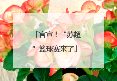 官宣！“苏超”篮球赛来了