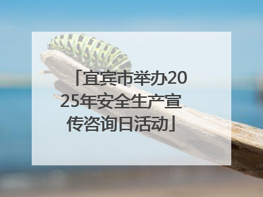 宜宾市举办2025年安全生产宣传咨询日活动