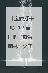 宝藏打卡地+1！宿迁的“热带雨林”火了