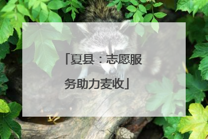 夏县：志愿服务助力麦收