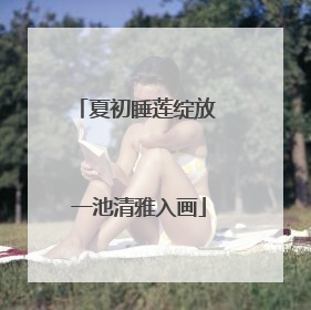 夏初睡莲绽放 一池清雅入画