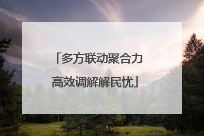 多方联动聚合力 高效调解解民忧