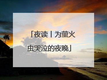 夜读丨为萤火虫哭泣的夜晚
