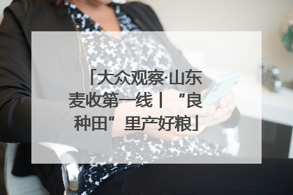 大众观察·山东麦收第一线丨“良种田”里产好粮