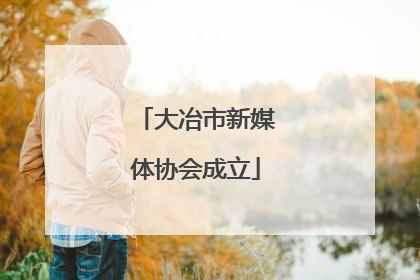 大冶市新媒体协会成立
