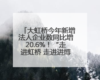 大虹桥今年新增法人企业数同比增20.6%！“走进虹桥 走进进博”活动举办