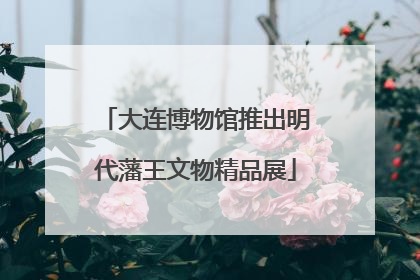 大连博物馆推出明代藩王文物精品展