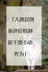 大通县创新评价机制促干部主动作为
