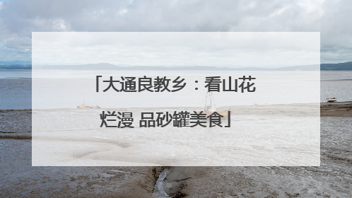 大通良教乡：看山花烂漫 品砂罐美食