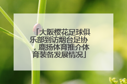 大阪樱花足球俱乐部到访烟台足协，鹿扬体育推介体育装备发展情况