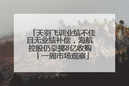 天羽飞训业绩不佳且无业绩补偿，海航控股仍豪掷8亿收购丨一周市场观察