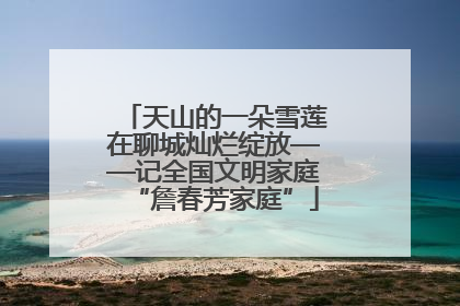 天山的一朵雪莲在聊城灿烂绽放——记全国文明家庭“詹春芳家庭”