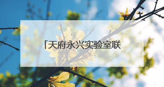 天府永兴实验室联席执行主任梁斌：落实从实验室到产业发展的最后一公里