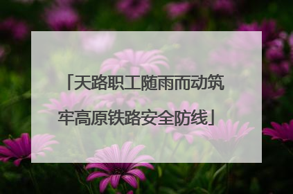 天路职工随雨而动筑牢高原铁路安全防线